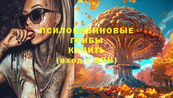 СК Иннополис