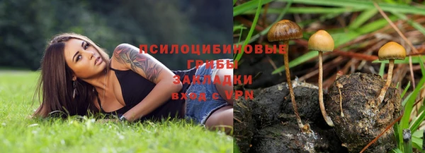 СК Иннополис