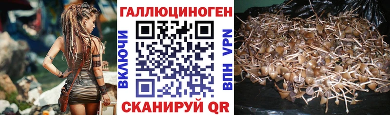 Купить где  Борисоглебск  Галлюциногенные грибы MAGIC MUSHROOMS 